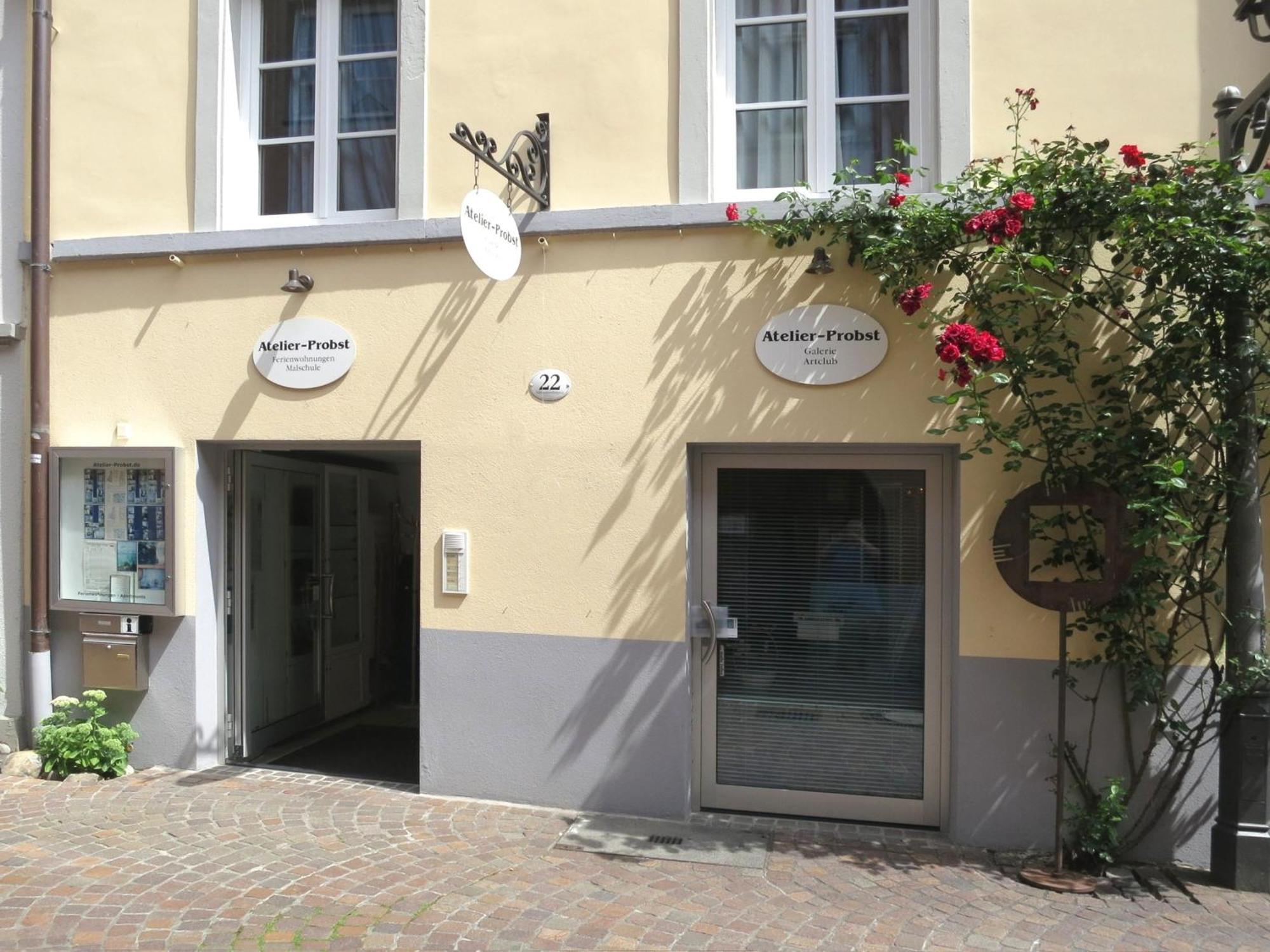 Appartement Atelier Probst- Salmannsweilergasse à Constance Extérieur photo